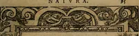 An illustration from Diverse imprese accomodate a diverse moralità, co versi che i loro significati dichiarano insieme con molte altre mella lingua italiana non piu tradotte (1576)