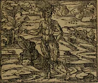 An illustration from Diverse imprese accomodate a diverse moralità, co versi che i loro significati dichiarano insieme con molte altre mella lingua italiana non piu tradotte (1576)