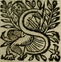 An illustration from Diverses pieces povr la defence de la royne mere dv roy tres-chrestien Lovys XIII (1643)