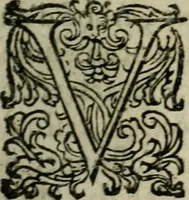 An illustration from Diverses pieces povr la defence de la royne mere dv roy tres-chrestien Lovys XIII (1643)