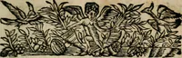 An illustration from Diverses pieces povr la defence de la royne mere dv roy tres-chrestien Lovys XIII (1643)