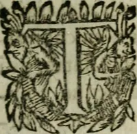 An illustration from Diverses pieces povr la defence de la royne mere dv roy tres-chrestien Lovys XIII (1643)