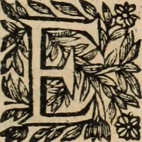 Picture 8 of 9 from Divers plaidoyez tovchant la cavse dv gvevx de Vernon : avec le plaidoyé de monsieur Bignon, advocat general : Et quelques autres plaidoyez, & errests sur differentes matières (1665), leaf 392