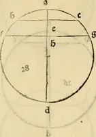 Picture 124 of 234 from Divina proportione : opera a tutti glingegni perspicaci e curiosi necessaria oue ciascun studioso di philosophia: prospettiua pictura sculptura: architectura: musica: e altre mathematice: suavissima: sotile: e admirabile doctrina consequira: e delecterassi: co[n] varie questione de secretissima scientia (1509), leaf 119
