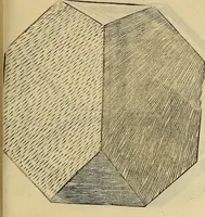 An illustration from Divina proportione : opera a tutti glingegni perspicaci e curiosi necessaria oue ciascun studioso di philosophia: prospettiua pictura sculptura: architectura: musica: e altre mathematice: suavissima: sotile: e admirabile doctrina consequira: e delecterassi: co[n] varie questione de secretissima scientia (1509)
