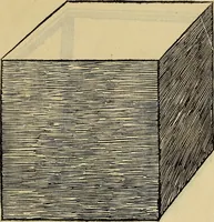 An illustration from Divina proportione : opera a tutti glingegni perspicaci e curiosi necessaria oue ciascun studioso di philosophia: prospettiua pictura sculptura: architectura: musica: e altre mathematice: suavissima: sotile: e admirabile doctrina consequira: e delecterassi: co[n] varie questione de secretissima scientia (1509)