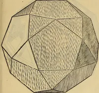 Picture 201 of 234 from Divina proportione : opera a tutti glingegni perspicaci e curiosi necessaria oue ciascun studioso di philosophia: prospettiua pictura sculptura: architectura: musica: e altre mathematice: suavissima: sotile: e admirabile doctrina consequira: e delecterassi: co[n] varie questione de secretissima scientia (1509), leaf 246