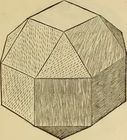 Picture 207 of 234 from Divina proportione : opera a tutti glingegni perspicaci e curiosi necessaria oue ciascun studioso di philosophia: prospettiua pictura sculptura: architectura: musica: e altre mathematice: suavissima: sotile: e admirabile doctrina consequira: e delecterassi: co[n] varie questione de secretissima scientia (1509), leaf 258
