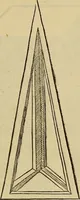 An illustration from Divina proportione : opera a tutti glingegni perspicaci e curiosi necessaria oue ciascun studioso di philosophia: prospettiua pictura sculptura: architectura: musica: e altre mathematice: suavissima: sotile: e admirabile doctrina consequira: e delecterassi: co[n] varie questione de secretissima scientia (1509)