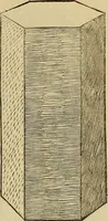Picture 225 of 234 from Divina proportione : opera a tutti glingegni perspicaci e curiosi necessaria oue ciascun studioso di philosophia: prospettiua pictura sculptura: architectura: musica: e altre mathematice: suavissima: sotile: e admirabile doctrina consequira: e delecterassi: co[n] varie questione de secretissima scientia (1509), leaf 296