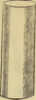 An illustration from Divina proportione : opera a tutti glingegni perspicaci e curiosi necessaria oue ciascun studioso di philosophia: prospettiua pictura sculptura: architectura: musica: e altre mathematice: suavissima: sotile: e admirabile doctrina consequira: e delecterassi: co[n] varie questione de secretissima scientia (1509)