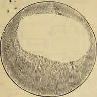An illustration from Divina proportione : opera a tutti glingegni perspicaci e curiosi necessaria oue ciascun studioso di philosophia: prospettiua pictura sculptura: architectura: musica: e altre mathematice: suavissima: sotile: e admirabile doctrina consequira: e delecterassi: co[n] varie questione de secretissima scientia (1509)