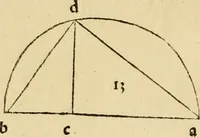 Picture 5 of 234 from Divina proportione : opera a tutti glingegni perspicaci e curiosi necessaria oue ciascun studioso di philosophia: prospettiua pictura sculptura: architectura: musica: e altre mathematice: suavissima: sotile: e admirabile doctrina consequira: e delecterassi: co[n] varie questione de secretissima scientia (1509), leaf 31