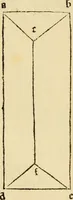 An illustration from Divina proportione : opera a tutti glingegni perspicaci e curiosi necessaria oue ciascun studioso di philosophia: prospettiua pictura sculptura: architectura: musica: e altre mathematice: suavissima: sotile: e admirabile doctrina consequira: e delecterassi: co[n] varie questione de secretissima scientia (1509)