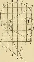 An illustration from Divina proportione : opera a tutti glingegni perspicaci e curiosi necessaria oue ciascun studioso di philosophia: prospettiua pictura sculptura: architectura: musica: e altre mathematice: suavissima: sotile: e admirabile doctrina consequira: e delecterassi: co[n] varie questione de secretissima scientia (1509)