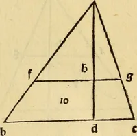 Picture 37 of 234 from Divina proportione : opera a tutti glingegni perspicaci e curiosi necessaria oue ciascun studioso di philosophia: prospettiua pictura sculptura: architectura: musica: e altre mathematice: suavissima: sotile: e admirabile doctrina consequira: e delecterassi: co[n] varie questione de secretissima scientia (1509), leaf 87