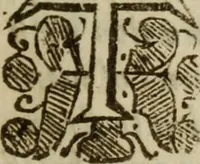 An illustration from The divine life, in three treatises : the first, Of the knowledge of God ; the second, Of walking with God ; the third, Of coversing with God in solitude (1664)