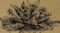An illustration from Divine emblems (1867)
