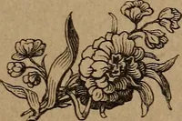 An illustration from Divine emblems (1867)