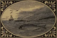 An illustration from Divine emblems (1867)