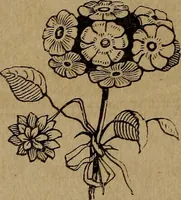 An illustration from Divine emblems (1867)