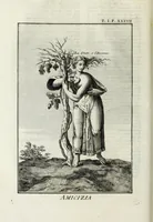 Picture 6 of 23 from Dizionario mitologico : ovvero della favola, poetico, storico ec. in cui esttamente si spiega l'origine degli dei, de' semidei, e gegli eroi dell'antico gentilessimo, i misteri, i dogmi, il culto, i sacrifizj, i giuochi, le feste, e tutto ciò, che appartiene alla religione de' Gentilli ... (1755), leaf 70