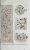 An illustration from Dizionario pittoresco di ogni mitologia d'antichita, d'iconologia e delle favole del medio evo ... (1840)