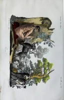 An illustration from Dizionario pittoresco di ogni mitologia d'antichita, d'iconologia e delle favole del medio evo ... (1840)