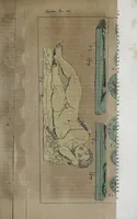 Picture 8 of 8 from Dizionario pittoresco di ogni mitologia d'antichita, d'iconologia e delle favole del medio evo ... (1840), leaf 563