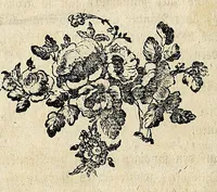 An illustration from D. Johann Christian Daniel Schrebers ... Beschreibung der Gräser : nebst ihren Abbildungen nach der Natur .. (1769)