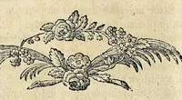 An illustration from D. Johann Christian Daniel Schrebers ... Beschreibung der Gräser : nebst ihren Abbildungen nach der Natur .. (1769)