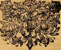 An illustration from D. Johannis Tackii ... Triplex phasis sophicus solis orbe expeditus humanaeque fragilitati & spei resurrectionis rerum consecratus (1673)