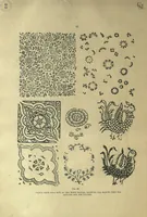 An illustration from Cotton Painting and Printing in the Madras Presidency (1917)