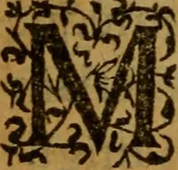 An illustration from Doctissimi viri Nicolai Sanderi, De origine ac progressu schismatis Anglicani, liber : continens historiam maximè ecclesiasticam, annorum circiter sexaginta, lectu dignissimam: nimirum, ab anno 21. regni Henrici 8, quo primum cogitare cæpit de repudianda legitima vxore serenissima Catherina, usque ad hunc vigesimum septimum Elizabethæ, quæ ultima est eiusdem Henrici soboles (1585)