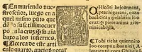 An illustration from Doctrina Christiana en lengua Castellana y Çapoteca: (1567)