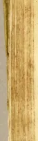 An illustration from Doctrina christiana muy cumplida, : donde se contiene la exposicion de todo lo necessario para doctrinar alos Yndios, y administralles los Sanctos Sacramentos. (1575)