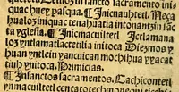 An illustration from [Doctrina cristiana en lengua mexicana.] (1548)