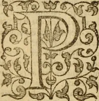 An illustration from Doctrinae Christianae compendium : seu, Commentarii catechetici (1585)