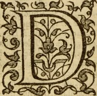 An illustration from Doctrinae Christianae compendium : seu, Commentarii catechetici (1585)