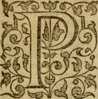 An illustration from Doctrinae Christianae compendium : seu, Commentarii catechetici (1585)