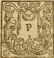 An illustration from Doctrinae Christianae compendium : seu, Commentarii catechetici (1585)