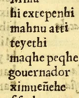Picture 10 of 13 from Doctrina y enseñança en la lengua maçahua de cosas muy vtiles, y prouechosas para los ministros de doctrina, y para los naturales que hablan la lengua maçahua ... (1637), leaf 143