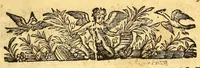 Picture 2 of 2 from Doctrine chrestienne, (1630), leaf 9