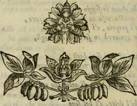 An illustration from Documenti d'amore (1640)