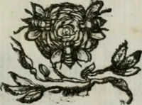 An illustration from Documenti d'amore (1640)