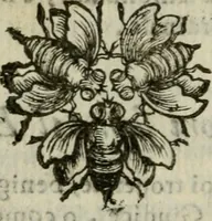 An illustration from Documenti d'amore (1640)
