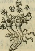 An illustration from Documenti d'amore (1640)