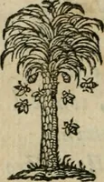 An illustration from Documenti d'amore (1640)
