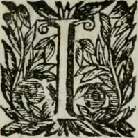 An illustration from Documenti d'amore (1640)