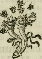 An illustration from Documenti d'amore (1640)